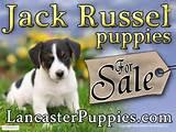 Yard Sign Shipping photos Yard Sign Shipping photos