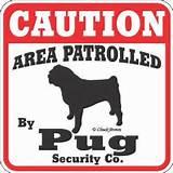 Yard Sign Pug photos Yard Sign Pug photos