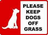 Yard Signs No Dogs images Yard Signs No Dogs images