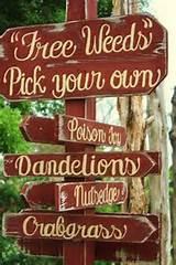 images of Garden Signs Rose images of Garden Signs Rose
